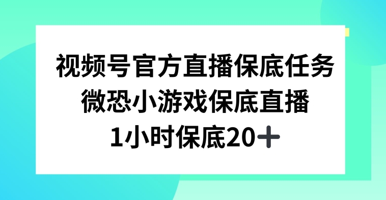 视频号直播任务，微恐小游戏，1小时20+【揭秘】-52资源库