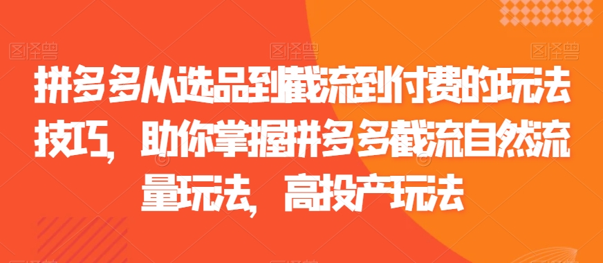 拼多多从选品到截流到付费的玩法技巧，助你掌握拼多多截流自然流量玩法，高投产玩法-52资源库