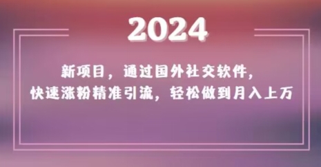 2024新项目，通过国外社交软件，快速涨粉精准引流，轻松做到月入上万【揭秘】-52资源库