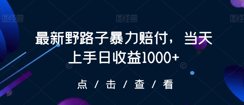 最新野路子暴力赔付，当天上手日收益1000+【仅揭秘】-52资源库