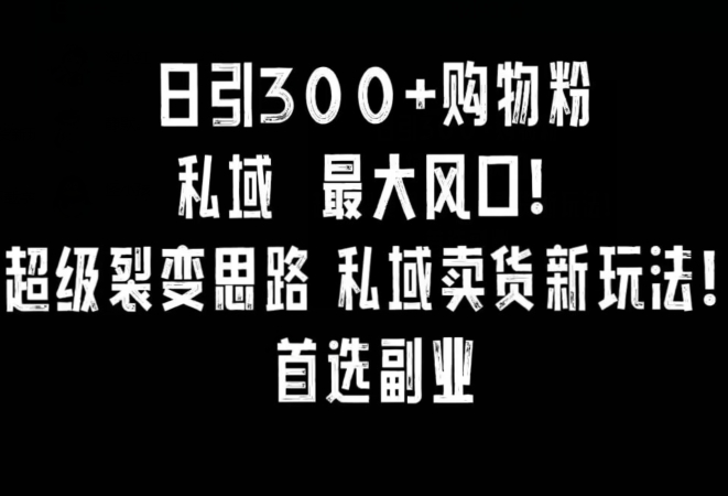 日引300+购物粉，超级裂变思路，私域卖货新玩法，小红书首选副业【揭秘】-52资源库