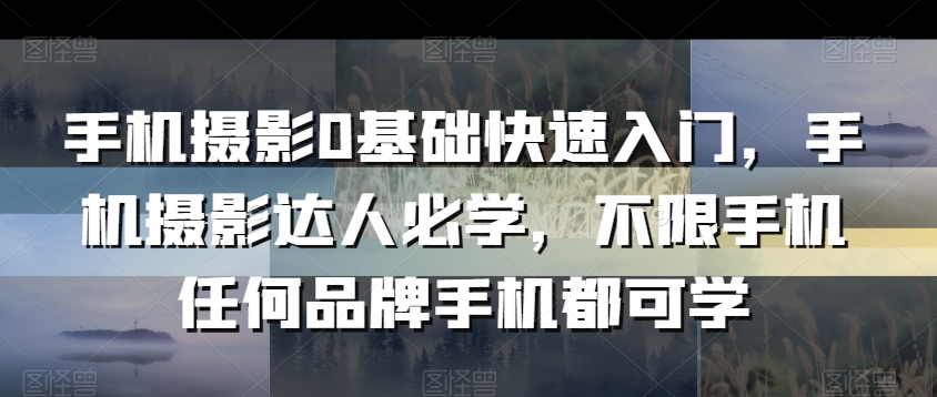 手机摄影0基础快速入门，手机摄影达人必学，不限手机任何品牌手机都可学-52资源库