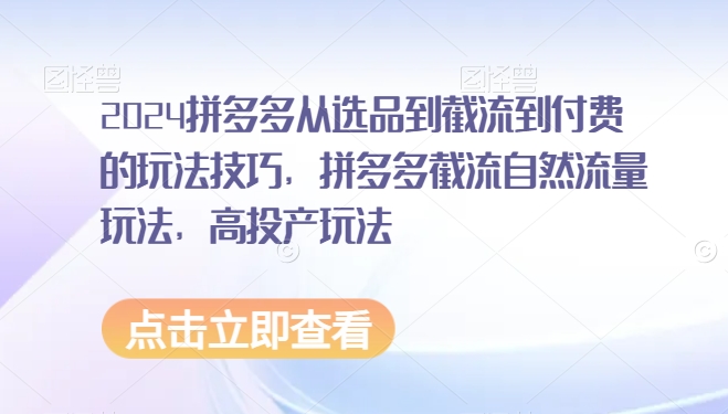 2024拼多多从选品到截流到付费的玩法技巧，拼多多截流自然流量玩法，高投产玩法-52资源库