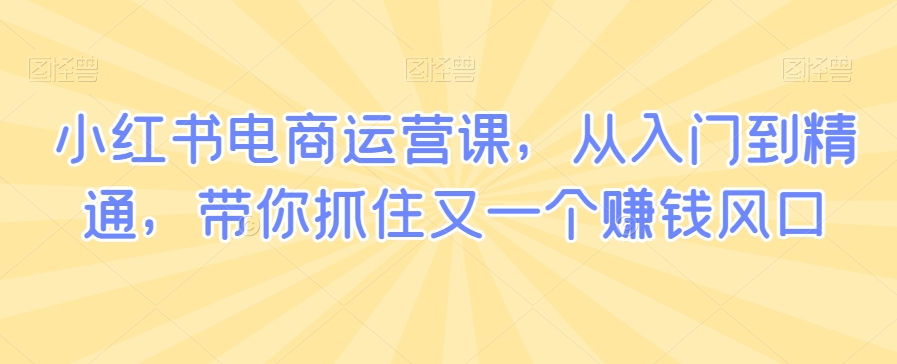 小红书电商运营课，从入门到精通，带你抓住又一个赚钱风口-52资源库