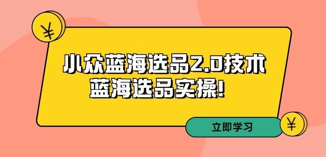 拼多多培训第33期：小众蓝海选品2.0技术-蓝海选品实操！-52资源库