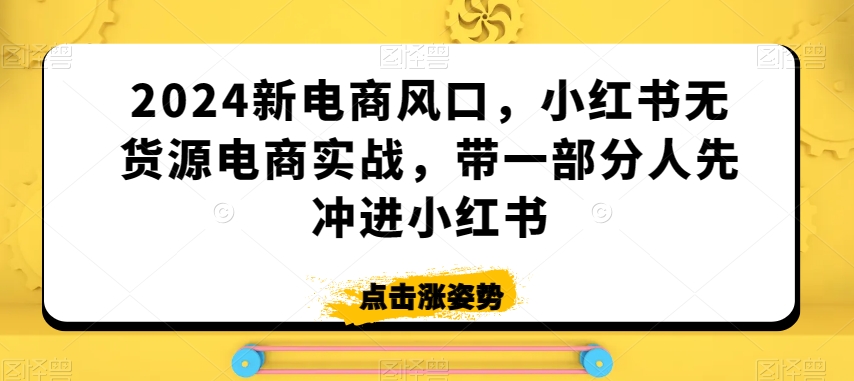 2024新电商风口，小红书无货源电商实战，带一部分人先冲进小红书-52资源库